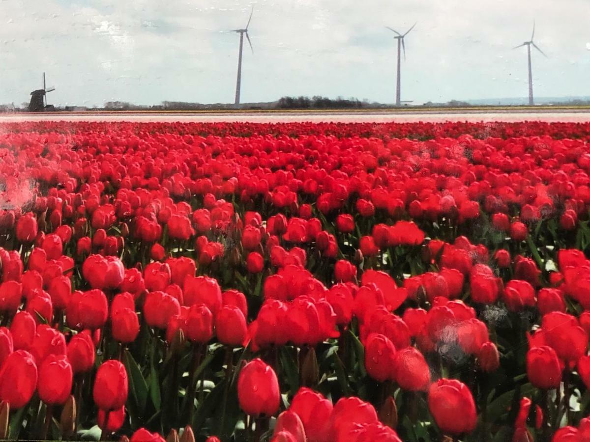 Vakantiehuis Aan Zee Sint Maartensvlotbrug Extérieur photo